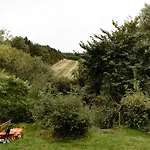 Renovated 70s Surrounded By Lovely Nature Semesterbostad *