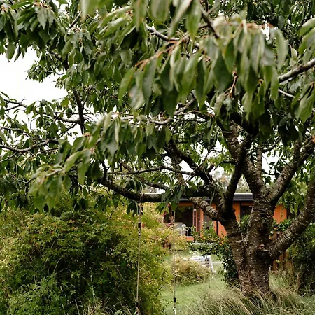 Tatil Evi Renovated 70s Surrounded By Lovely Nature *