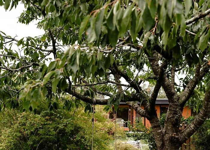 بيت للعطل Renovated 70s Surrounded By Lovely Nature *