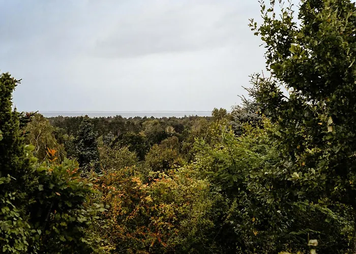 Renovated 70s Surrounded By Lovely Nature *